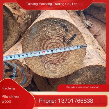 Manufacturer of pine wood and seller of pine wood piles with a diameter of 14cm. Pine wood pile revetment
