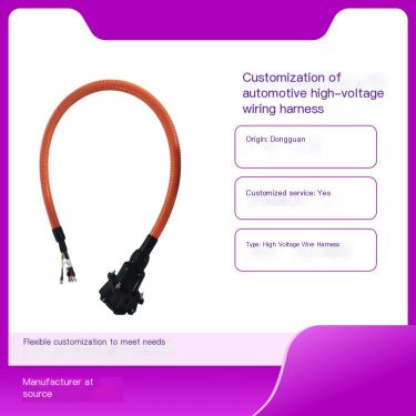 New Energy Vehicle High Voltage Wire Harness Paige Rui Customized Quality Assurance