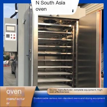South Asia Electric Heating Blast Drying Oven Fully Intelligent Non standard Customized Energy saving and Environmental Protecti