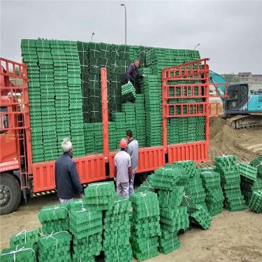 Green Grass Grid Planting HDPE 5cm Parking Lot Plastic Lawn Grid