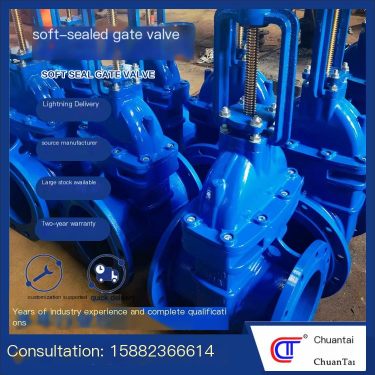 Soft seal gate valve manufacturer concealed stem rising stem electric flange cast iron stainless steel elastic seat seal wholesa