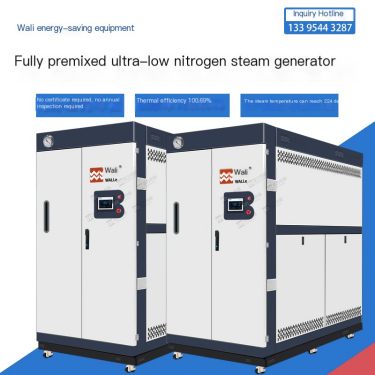 Wally Vertical Gas Steam Boiler Half Ton LSS0.5 Environmentally friendly and Energy saving Steam Generator for Linen Washing