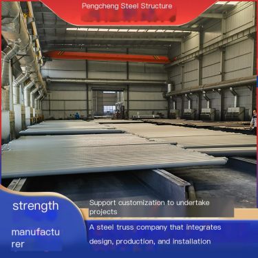 Pengcheng Bolt Ball Grid Dry Coal Shed Material Shed Coal Storage Shed Processing Manufacturer Gas Station Shed Selected Good Ma