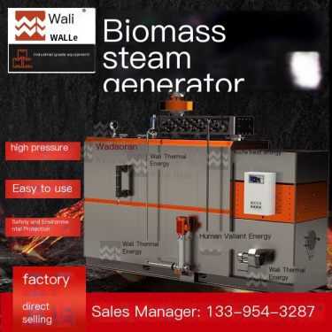 0.1 ton biomass steam generator fully automatic small particle boiler WaLi