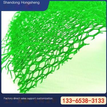3D vegetation network, river slope protection treatment, plastic geonet, green soil fixation 3D network
