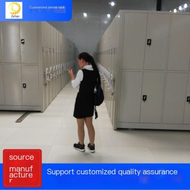 Zehao Customized Hospital Case Bank Receipt Professional Cabinet Fully Enclosed Dense Cabinet