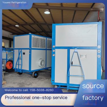 Youwei Refrigeration Integrated Grain Pile Temperature Control Machine Grain Cold Air Machine Grain Cooling Machine
