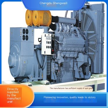 Shengweili Electromechanical Diesel Generator 50kW Multi Fuel Adaptation Customization Service Manufacturer with Fine Craftsmans