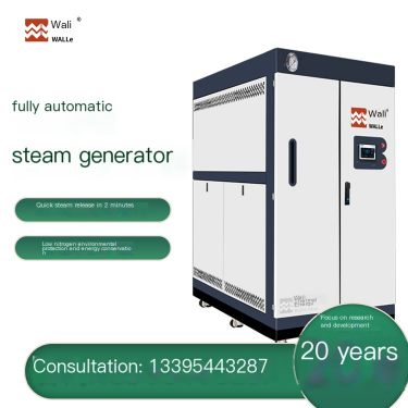 2-ton gas steam generator automatic steam boiler does not require inspection by Wally