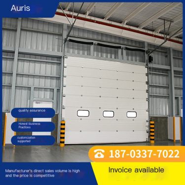 Auris Industrial Lift Doors Support Customization, Durable Sliding Lift Doors, Workshop specific Space Saving