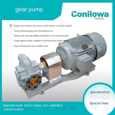Kenirowa Gear Pump Stainless Steel Marine Engineering High Temperature, Corrosion Resistance, Low Noise, High Efficiency Customi