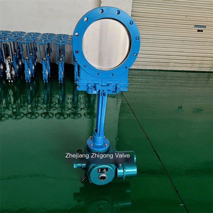 Zhigong Electric Knife Gate Valve Hard Seal Circular Insert Plate Valve PZ973H-10C DN300