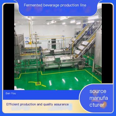 Mango Fruit Wine Production Line, Pineapple Beer Processing Line, Fermented Beverage Production Line Mechanical Equipment