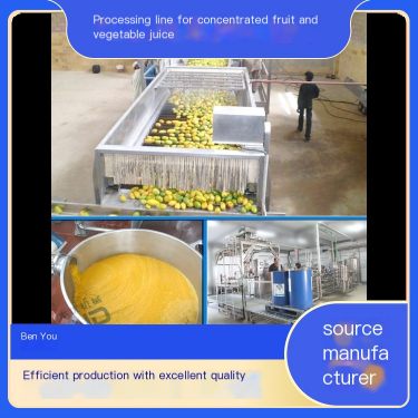 NFC Mango Juice Production Line Pineapple Juice Processing Line Fruit and Vegetable Concentrated Juice Production Line Mechanica