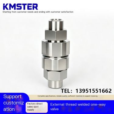 Welded DN50 high-pressure one-way valve stainless steel check valve RD series supports customization