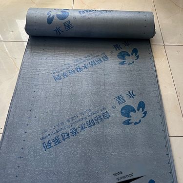 High pressure resistance of double-sided self-adhesive wet laid waterproof roll source factory Mercury