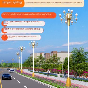 Customized Outdoor Municipal Zhonghua Lamp 10m Nine Head Yulan Lamp Street Light High Pole Landscape Square Lamp