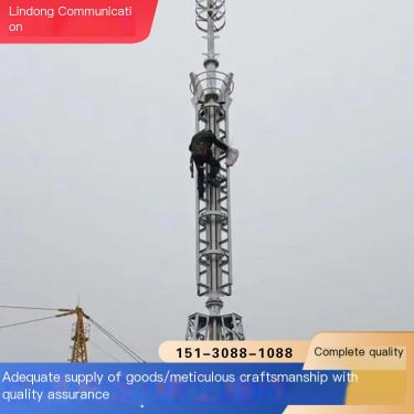 Top Stainless Steel Decorative Tower Landscape Communication Technology Tower City Beautification Tower High rise Building Lin D