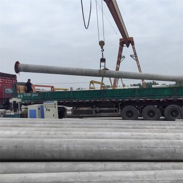 Bai Zhi Gu Zi Sowing Machine No Inter Seedling Small Cilantro Precision Sowing Machine Wheat Oat Strip Sowing Machine