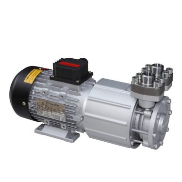 Huizhou Ward 3KW Hot Oil Circulating Pump DQK-JXT95 Circulating Water Pump Resistant to High Temperature of 160 ° C
